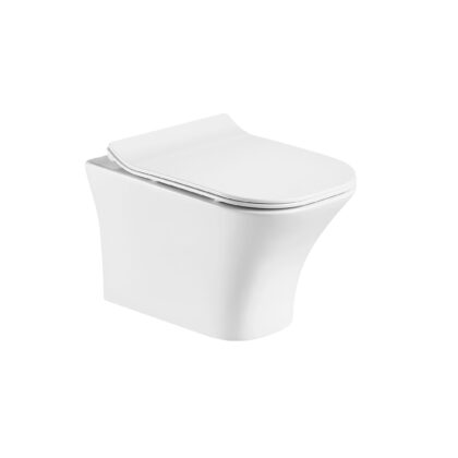 Wall Mounted Toilet- Fjord Bathrooms