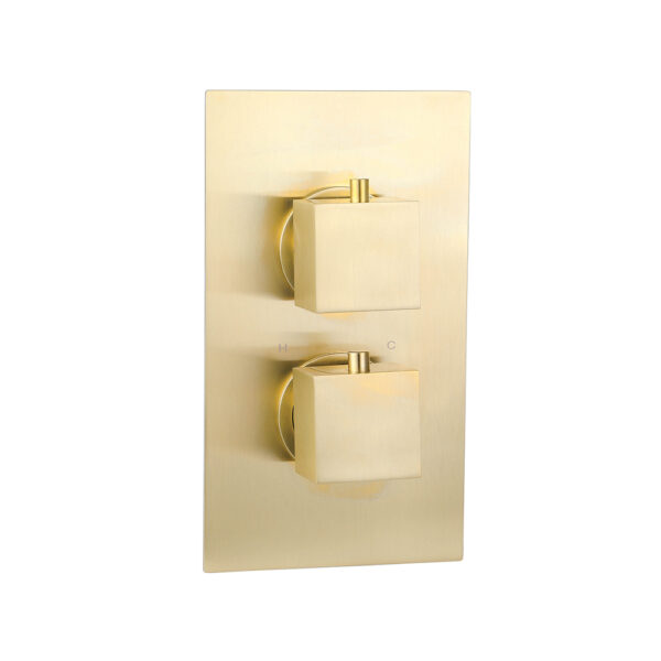Single Outlet Thermostatic Shower Valve
