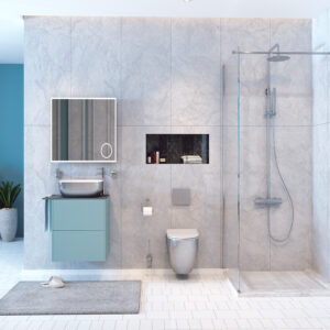 Brushed Nickel Toilets, Basins & Shower Screens