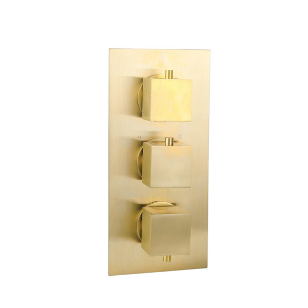 Brushed Gold Thermostatic Shower